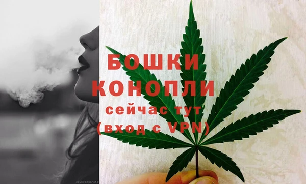 ECSTASY Ижевск